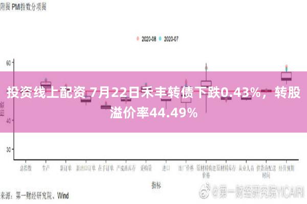 投资线上配资 7月22日禾丰转债下跌0.43%，转股溢价率44.49%