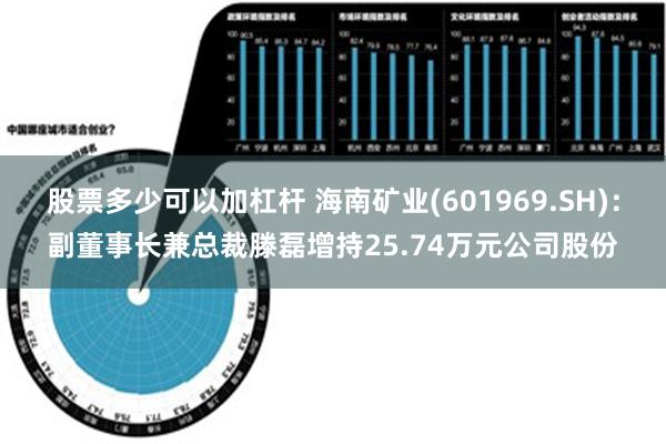 股票多少可以加杠杆 海南矿业(601969.SH)：副董事长兼总裁滕磊增持25.74万元公司股份