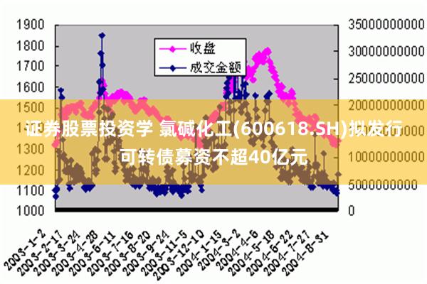 证券股票投资学 氯碱化工(600618.SH)拟发行可转债募资不超40亿元