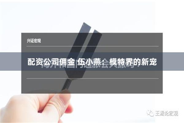 配资公司佣金 伍小燕：模特界的新宠