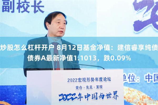 炒股怎么杠杆开户 8月12日基金净值：建信睿享纯债债券A最新净值1.1013，跌0.09%