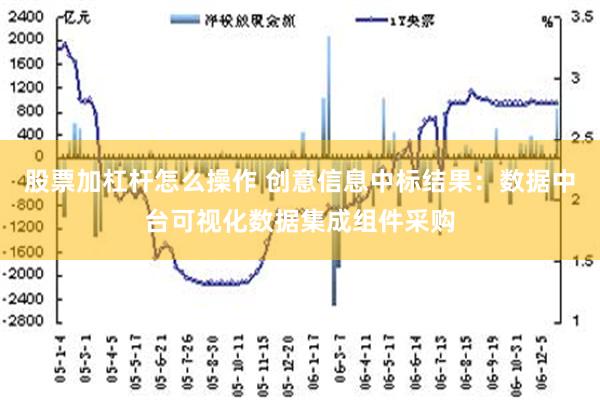 股票加杠杆怎么操作 创意信息中标结果：数据中台可视化数据集成组件采购