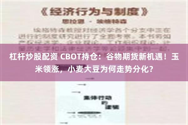 杠杆炒股配资 CBOT持仓：谷物期货新机遇！玉米领涨，小麦大豆为何走势分化？