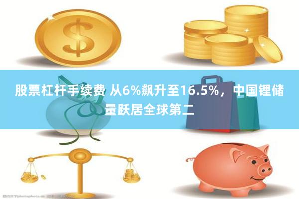 股票杠杆手续费 从6%飙升至16.5%，中国锂储量跃居全球第二