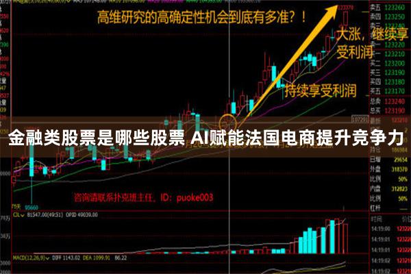 金融类股票是哪些股票 AI赋能法国电商提升竞争力