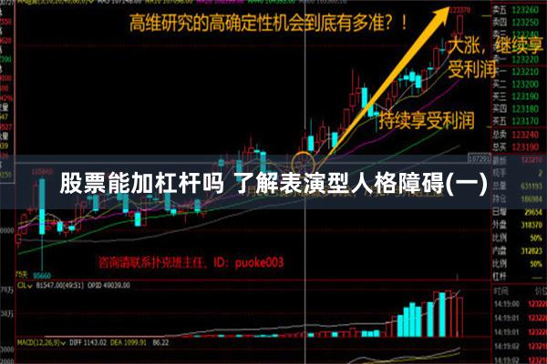 股票能加杠杆吗 了解表演型人格障碍(一)